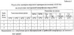 Вакцина против репродуктивно-респираторного синдрома свиней эмульсионная инактивированная (патент 2316346)