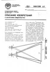 Устройство для наблюдения псевдостереоэффекта (патент 1601599)