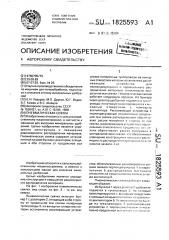 Пневматическая сеялка (патент 1825593)