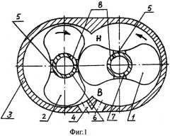 Насос вакуумный двухроторный (патент 2382905)