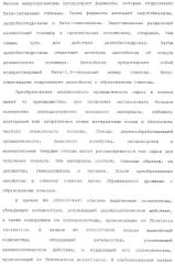 Клетка-хозяин trichoderma reesei для получения целлюлолитической белковой композиции, целлюлолитическая белковая композиция, способы ее получения и применения (патент 2494146)
