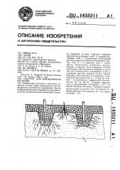 Субстрат для выращивания растений (патент 1435211)