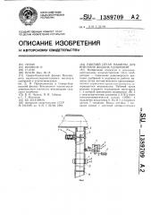 Рабочий орган машины для внесения жидких удобрений (патент 1389709)