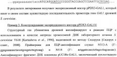 Способ получения белка e7-hsp70 и штамм дрожжей saccharomyces cerevisiae для его осуществления (патент 2489481)