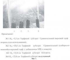 Способ получения торфяного субстрата для посадочного материала лесных культур (патент 2365569)