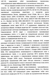 Производные 2-[(2-(фениламино)-1н-пирроло[2,3-d]пиримидин-4-ил)амино]бензамида в качестве ингибиторов igf-1r для лечения рака (патент 2472797)