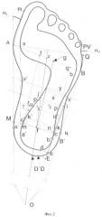 Способ исследования состояния отделов стопы и устройство для его осуществления (патент 2391042)