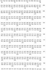 Нуклеиновые кислоты, кодирующие рецептор ctla-4 кошки, вектор, клетки-хозяева, вакцины, олигонуклеотиды, полипептиды ctla-4 кошки и способы индукции и подавления иммунного ответа у кошки (патент 2377302)