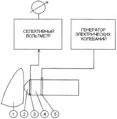 Способ определения подвижности зуба (патент 2279261)