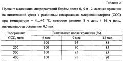 Способ длительного хранения in vitro микрорастений березы (патент 2634409)