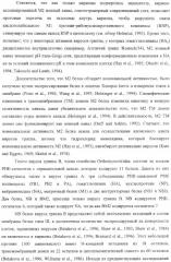 Выделенный рекомбинантный вирус гриппа и способы его получения (патент 2351651)