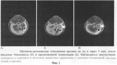 Магнитно-резонансная и рентгеновская контрастная композиция (патент 2308290)
