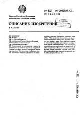 Свайный фундамент (патент 2002899)