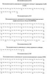 Рекомбинантная плазмида, рекомбинантный штамм, рекомбинантный белок вмр-7 и способ выделения рекомбинантного белка в димерной форме (патент 2499047)