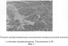 Способ моделирования острого некротического панкреатита (патент 2286608)