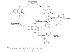 Антикоагулянтные соединения и их применение (патент 2560175)