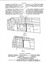 Способ охраны пластовых горных выработок (патент 1033758)