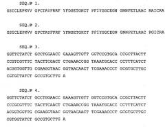 Полипептид актинии, обладающий анальгетическим действием (патент 2404245)