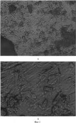 Способ получения нанокапсул резвератрола в ксантановой камеди, обладающих супрамолекулярными свойствами (патент 2557942)