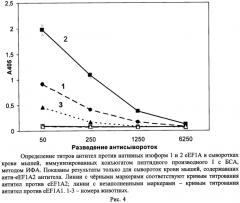 Синтетический пептид для получения моноспецифичных антител против изоформы 2 эукариотического фактора элонгации трансляции 1а (патент 2562880)