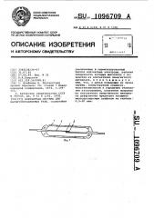 Контактная система для магнитоуправляемых реле (патент 1096709)