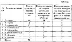 Штамм бактериофага staphylococcus aureus sa20, обеспечивающий разрушение биопленок, образуемых бактериями рода staphylococcus (патент 2565824)