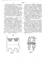 Молотильное устройство для кукурузы (патент 1036291)