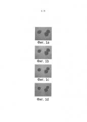 Капсулы со структурой ядро-оболочка (патент 2665380)