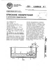 Устройство для электрохимической очистки металлических поверхностей (патент 1289919)