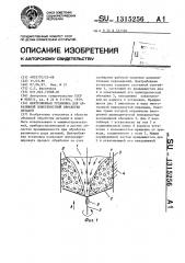 Центробежная установка для абразивной поверхностной обработки деталей (патент 1315256)