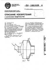 Мельница самоизмельчения (патент 1061839)