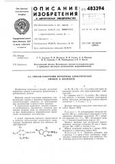 Способ получения первичных алифтических аминов и диаминов (патент 483394)