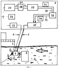 Способ нанесения защитного состава в гидроакустическом поле (патент 2465966)