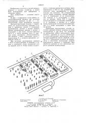Способ заготовки деревьев (патент 1250215)