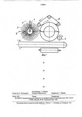 Устройство для отделения примесей от корнеклубнеплодов (патент 1720541)