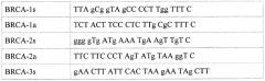 Набор синтетических олигонуклеотидов для определения нуклеотидной последовательности кодирующей части гена brca1 и выявления мутаций, ассоциированных с наследственными формами рака молочной железы (патент 2440415)