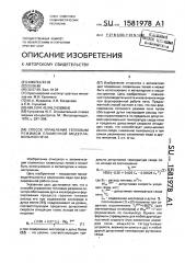 Покрытие огнеупорной футеровки промышленных печей и способ нанесения покрытия (патент 1581979)