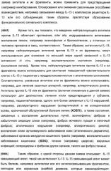 Антитела против интерлейкина-13 человека и их применение (патент 2427589)