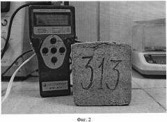 Древесно-талькохлорито-цементная смесь (патент 2570214)