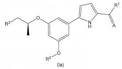 Новое производное фенилпиррола (патент 2470917)