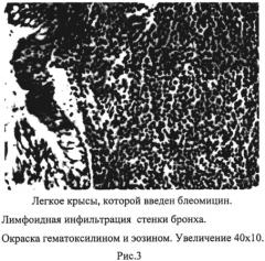 Средство для коррекции нарушений в легочной ткани при цитостатическом воздействии (патент 2554776)