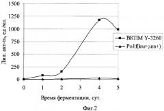 Штамм дрожжей yarrowia lipolytica - продуцент липазы (патент 2355754)