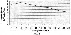 Штамм "вниизж 2003" вируса оспы коз variola virus caprinum для изготовления биопрепаратов для диагностики и специфической профилактики оспы коз (патент 2389791)