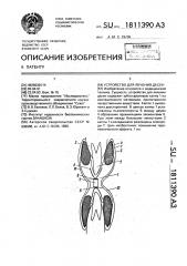 Устройство для лечения десен (патент 1811390)