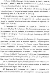 Способ получения генетически модифицированных растений каланхоэ, экспрессирующих ген цекропина p1 (патент 2445768)