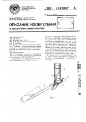 Способ заготовки деревьев на склонах (патент 1145957)