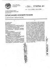 Устройство для дозированной подачи реагента в скважину (патент 1710704)
