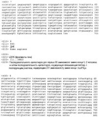 Рекомбинантный химерный белок anth1, кодирующая его нуклеиновая кислота и их применение (патент 2322455)