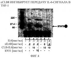 Антитела против il-6, композиции, способы и применение (патент 2318829)