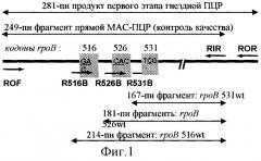 Способ экспрессного определения устойчивости к рифампицину у микобактерий туберкулеза (патент 2287586)